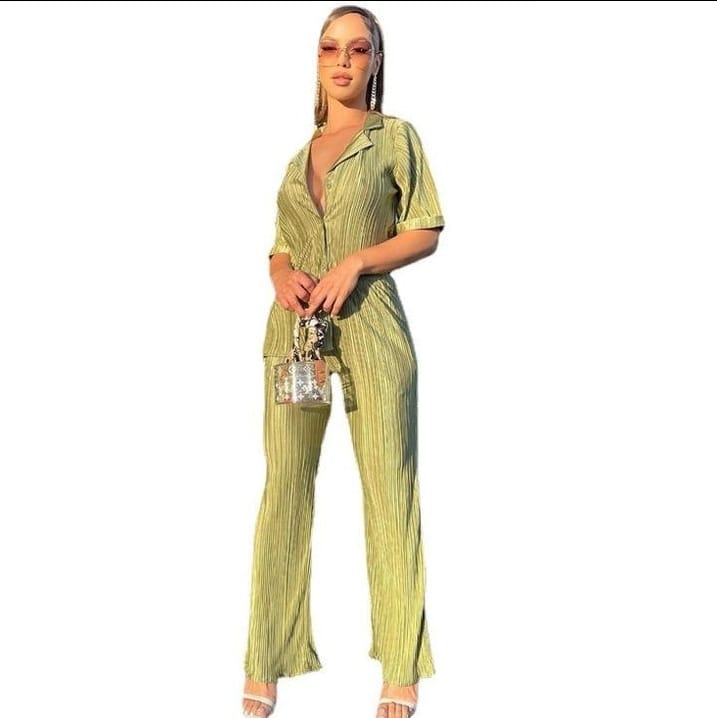 Fine pleated pants and top two piece set.