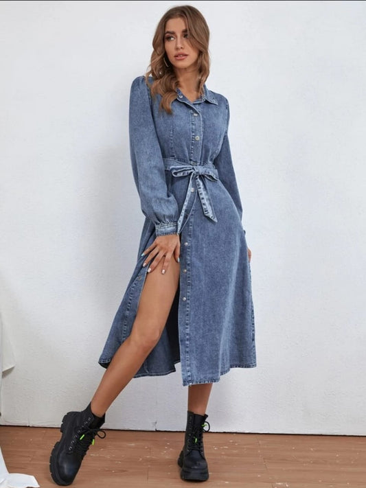 Button down denim dress