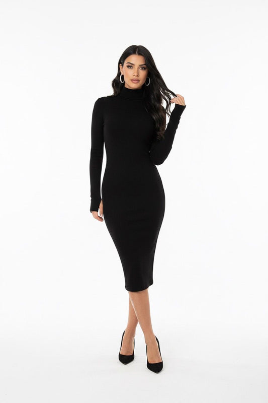 warm long sleeve dress