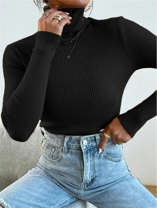 Warm High neck top