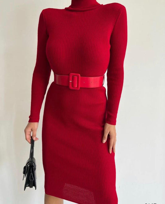 Ribbed polar neck dress